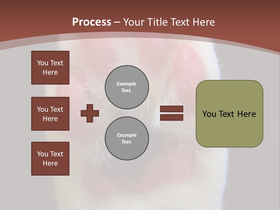 Vitality PowerPoint Template