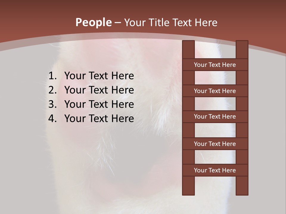 Vitality PowerPoint Template