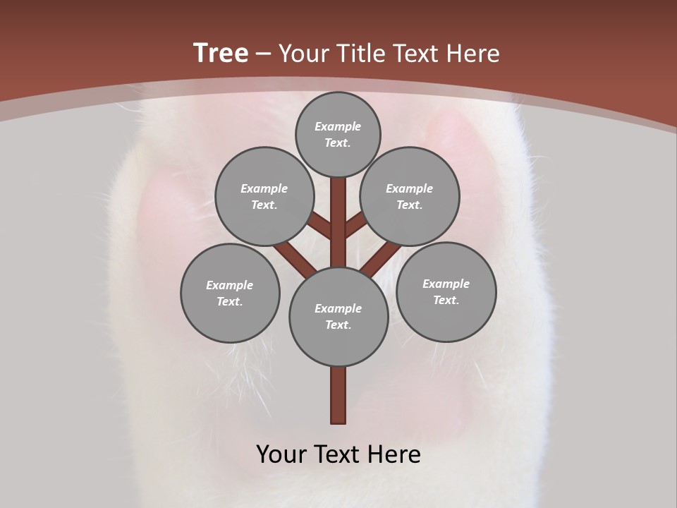 Vitality PowerPoint Template