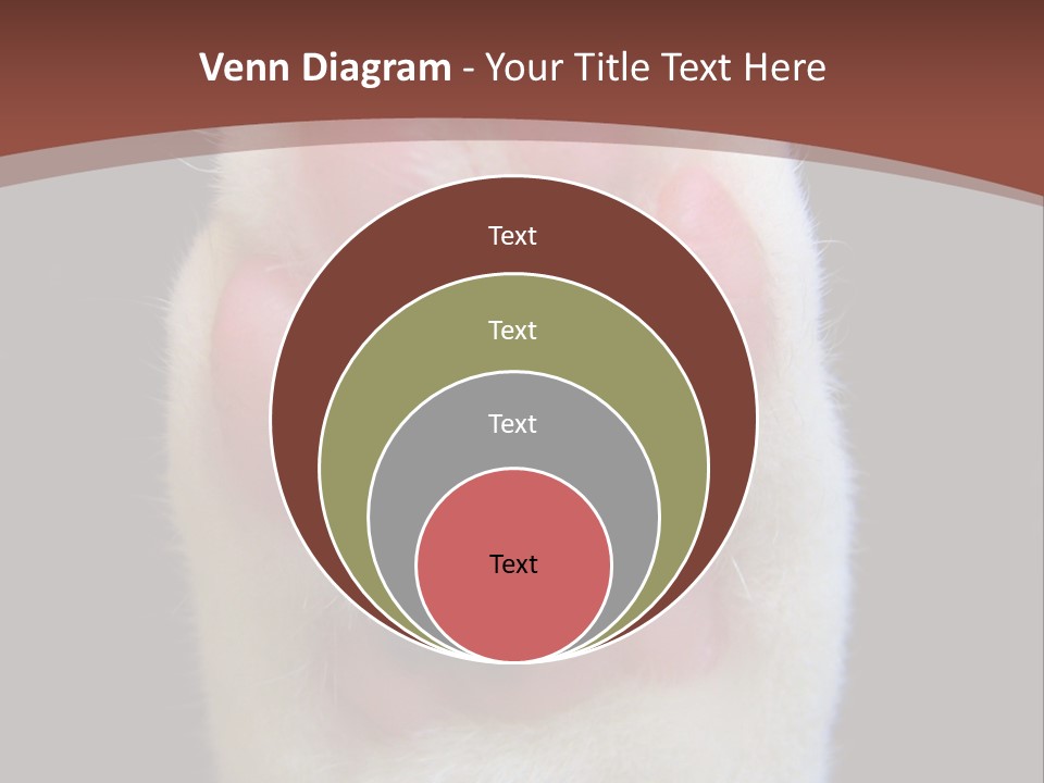 Vitality PowerPoint Template