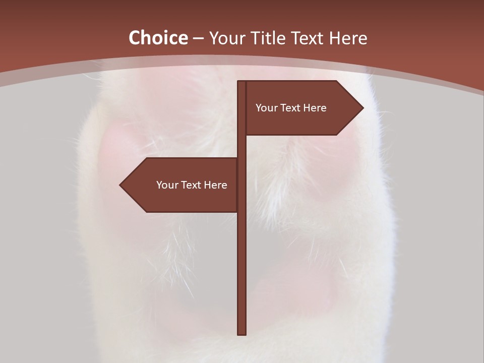 Vitality PowerPoint Template