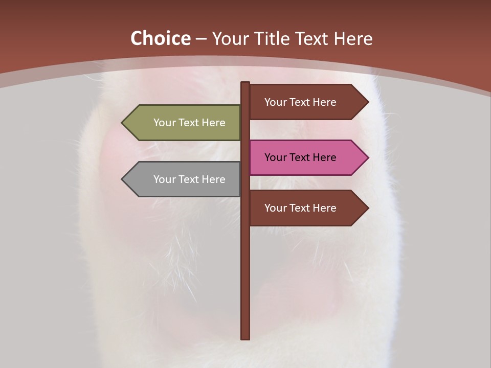 Vitality PowerPoint Template