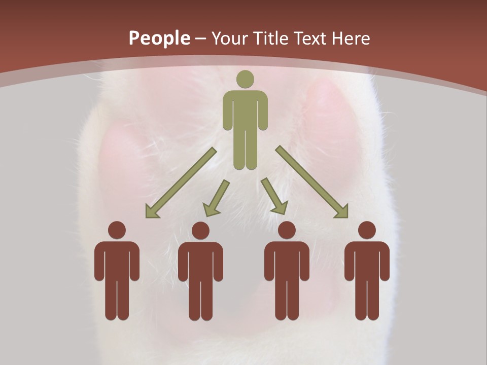 Vitality PowerPoint Template