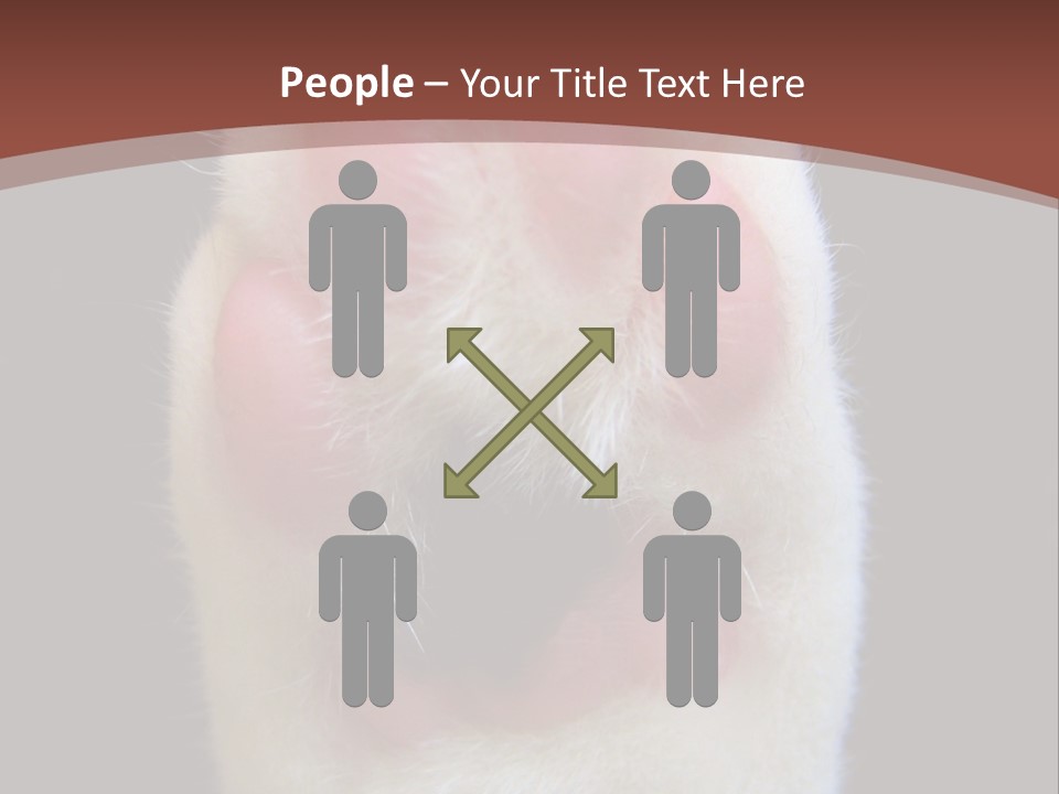 Vitality PowerPoint Template