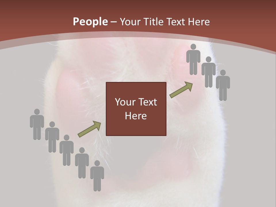 Vitality PowerPoint Template