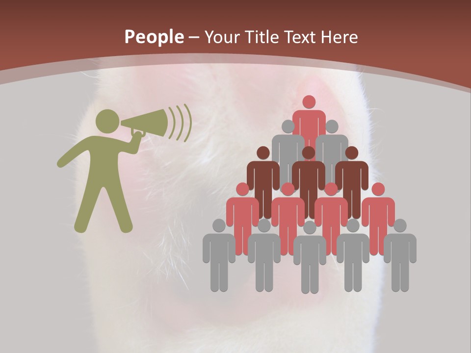 Vitality PowerPoint Template