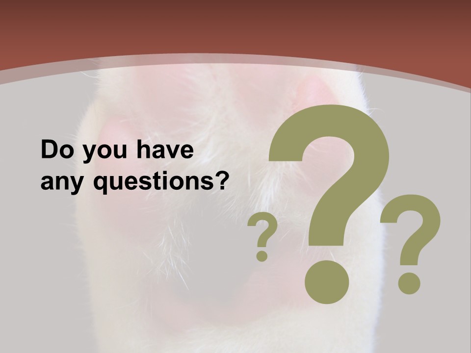 Vitality PowerPoint Template