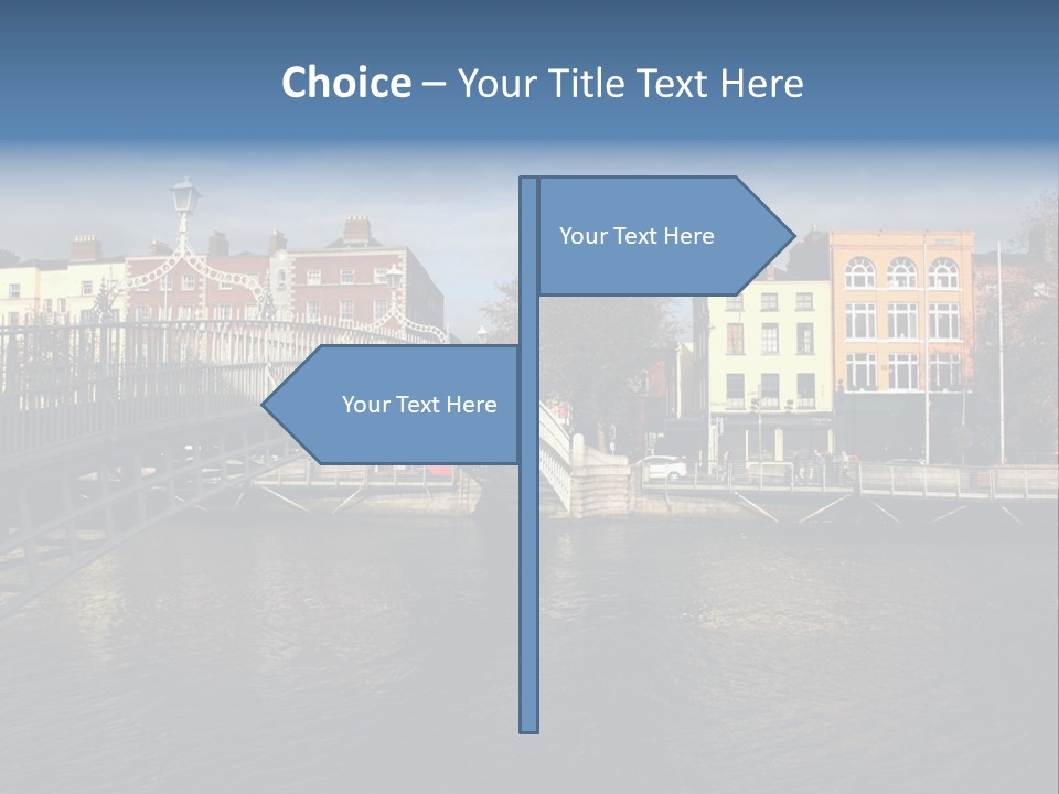 Baby Harp Seal Pup Enjoys Sun On Ice Floe In North Atlantic PowerPoint Template