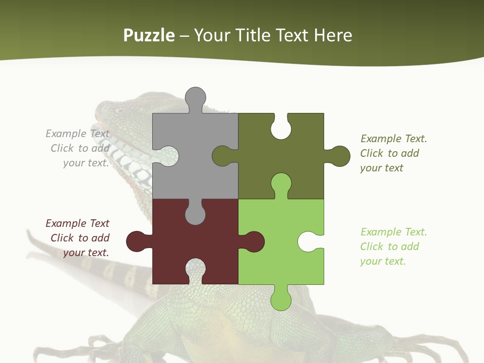 Bearded Dragon In Front Of A White Background PowerPoint Template