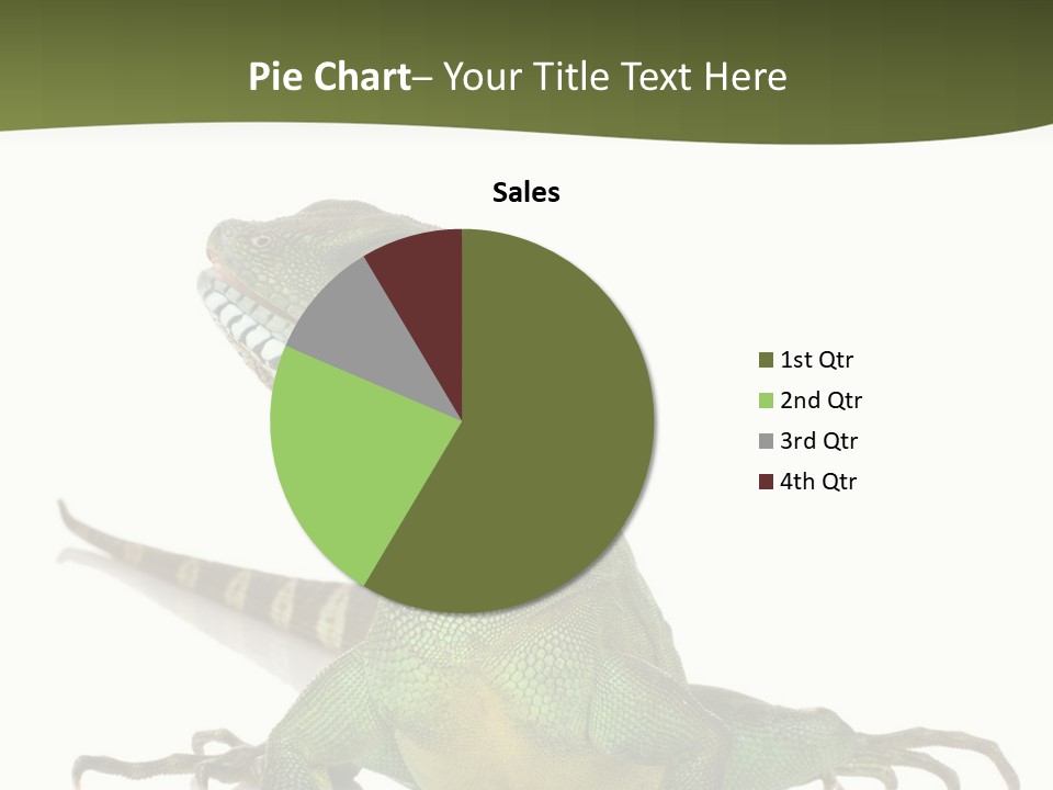 Bearded Dragon In Front Of A White Background PowerPoint Template