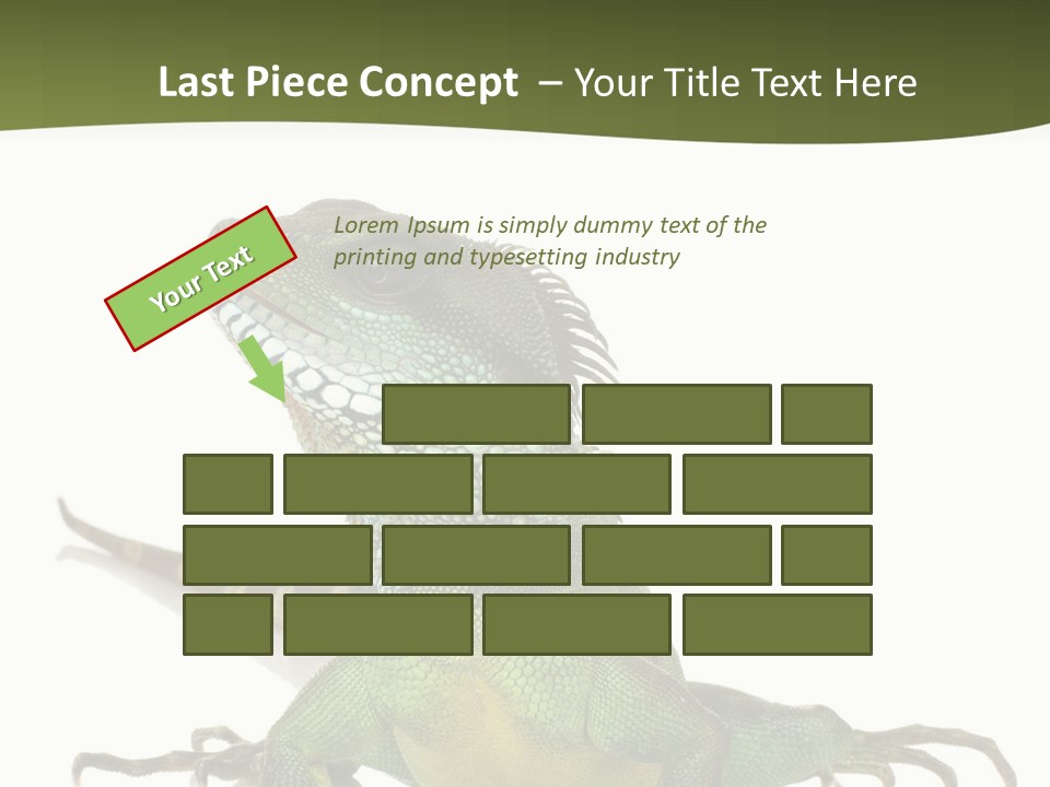 Bearded Dragon In Front Of A White Background PowerPoint Template