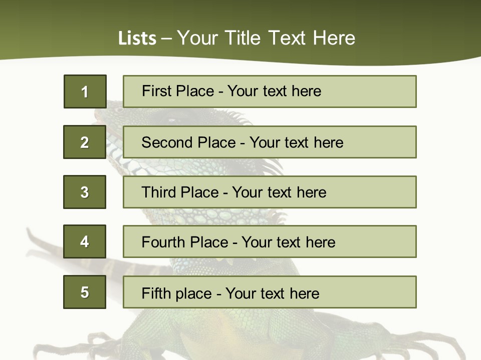 Bearded Dragon In Front Of A White Background PowerPoint Template