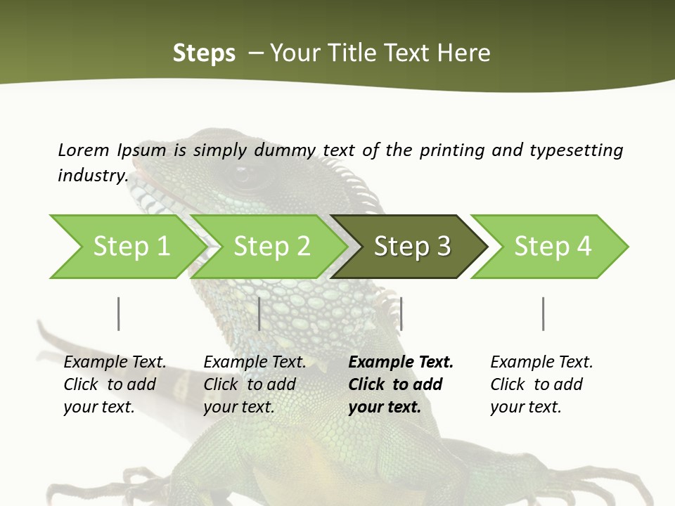 Bearded Dragon In Front Of A White Background PowerPoint Template