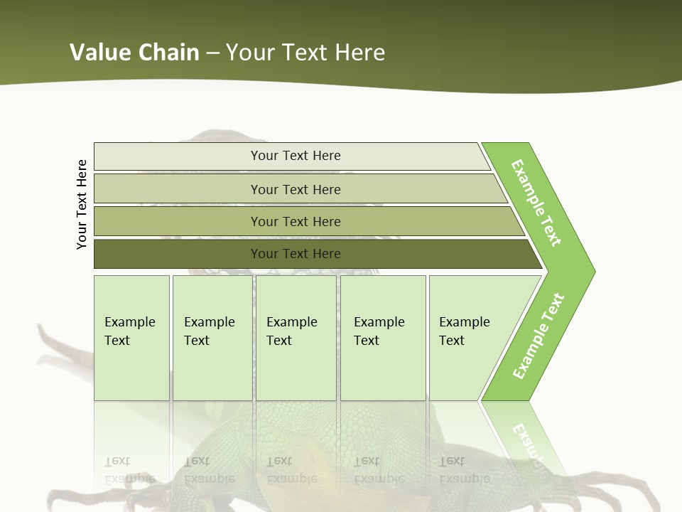 Bearded Dragon In Front Of A White Background PowerPoint Template