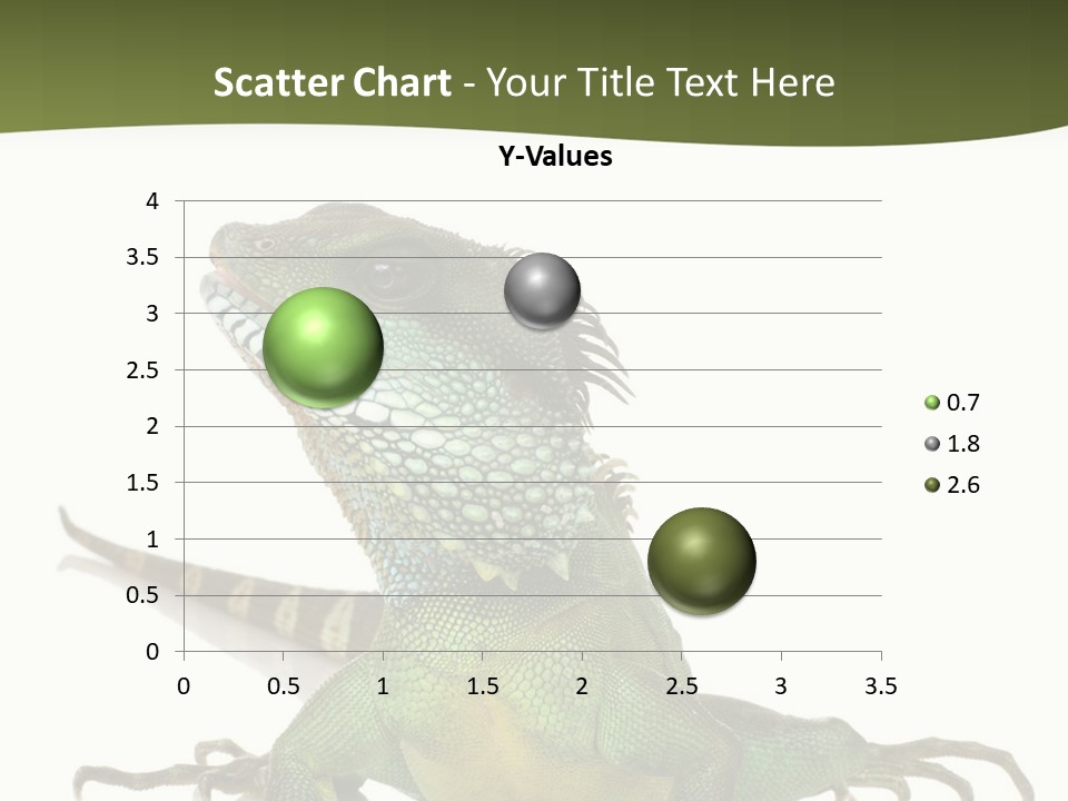 Bearded Dragon In Front Of A White Background PowerPoint Template