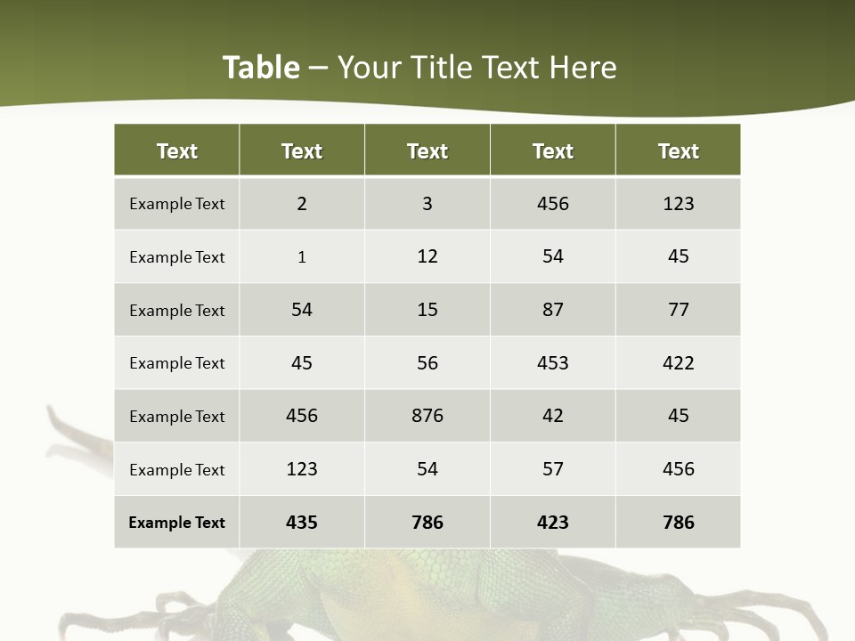 Bearded Dragon In Front Of A White Background PowerPoint Template