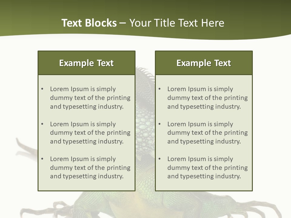 Bearded Dragon In Front Of A White Background PowerPoint Template