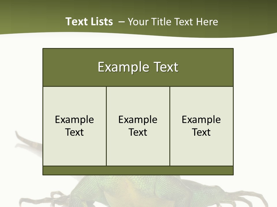 Bearded Dragon In Front Of A White Background PowerPoint Template