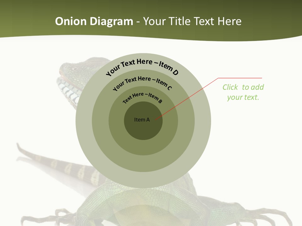 Bearded Dragon In Front Of A White Background PowerPoint Template