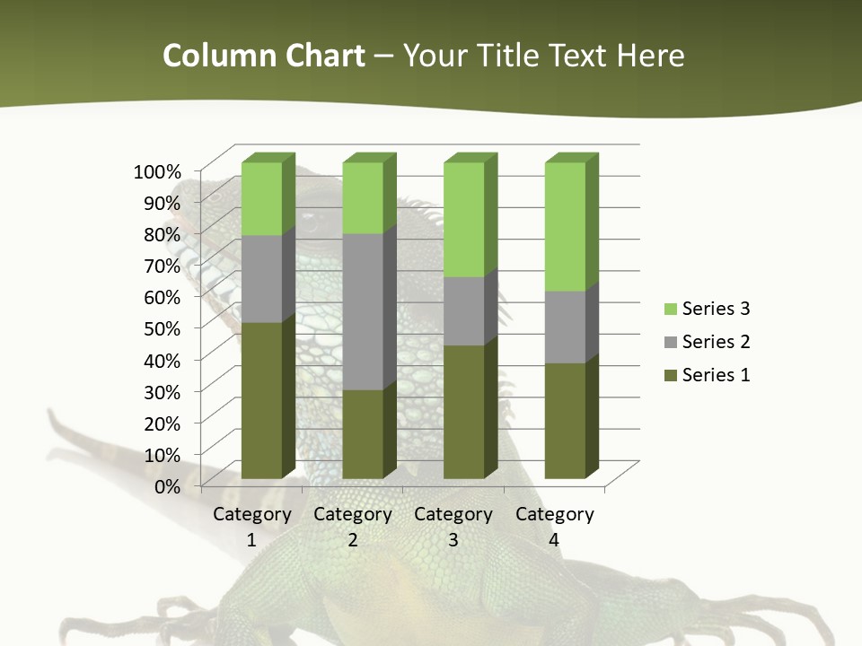 Bearded Dragon In Front Of A White Background PowerPoint Template