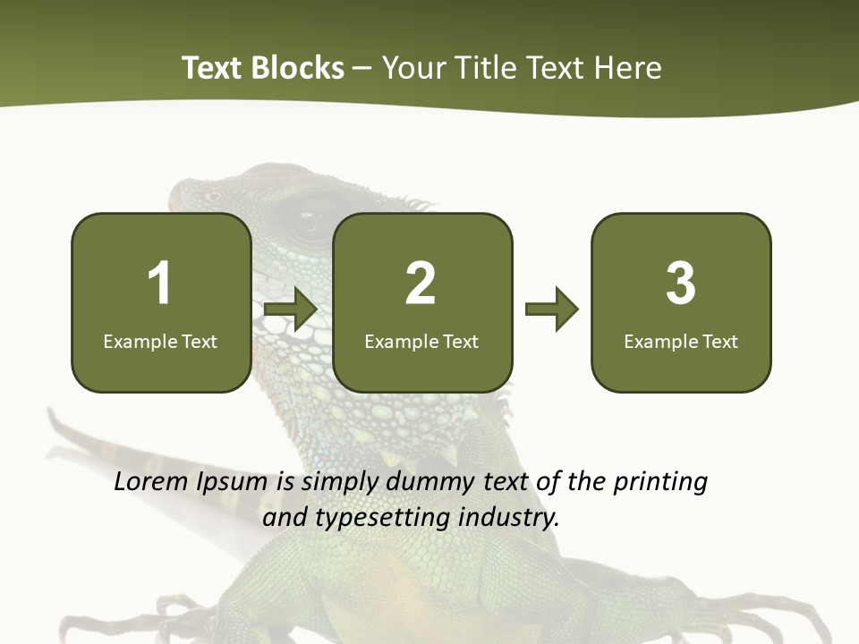 Bearded Dragon In Front Of A White Background PowerPoint Template