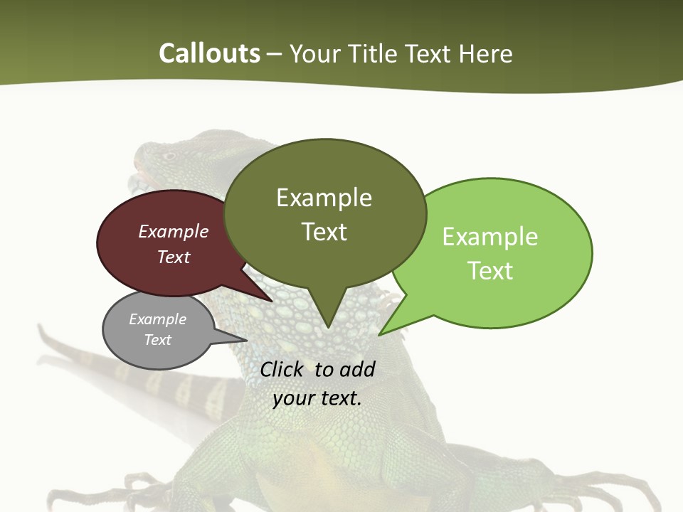 Bearded Dragon In Front Of A White Background PowerPoint Template