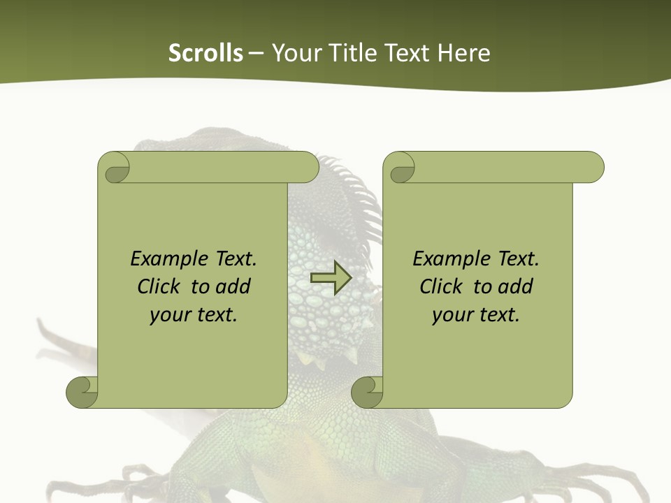 Bearded Dragon In Front Of A White Background PowerPoint Template