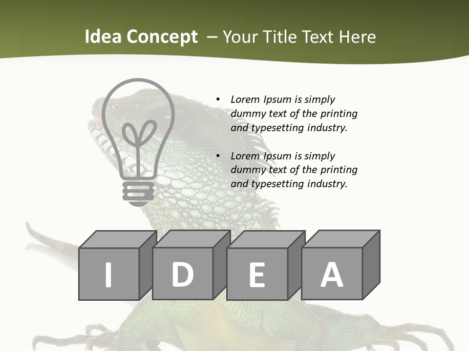 Bearded Dragon In Front Of A White Background PowerPoint Template