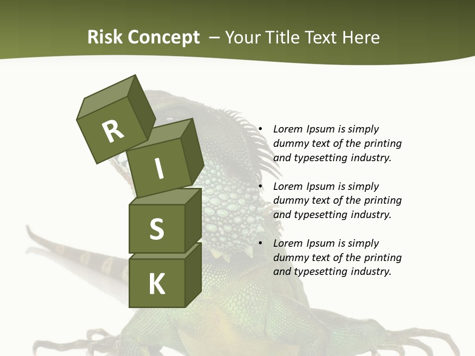 Bearded Dragon In Front Of A White Background PowerPoint Template