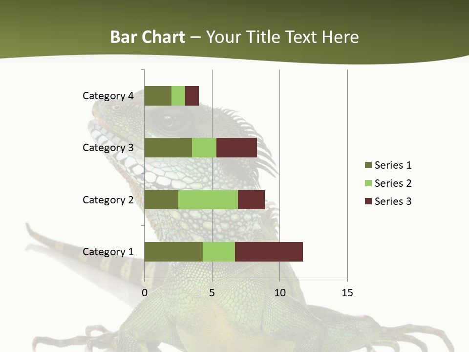 Bearded Dragon In Front Of A White Background PowerPoint Template