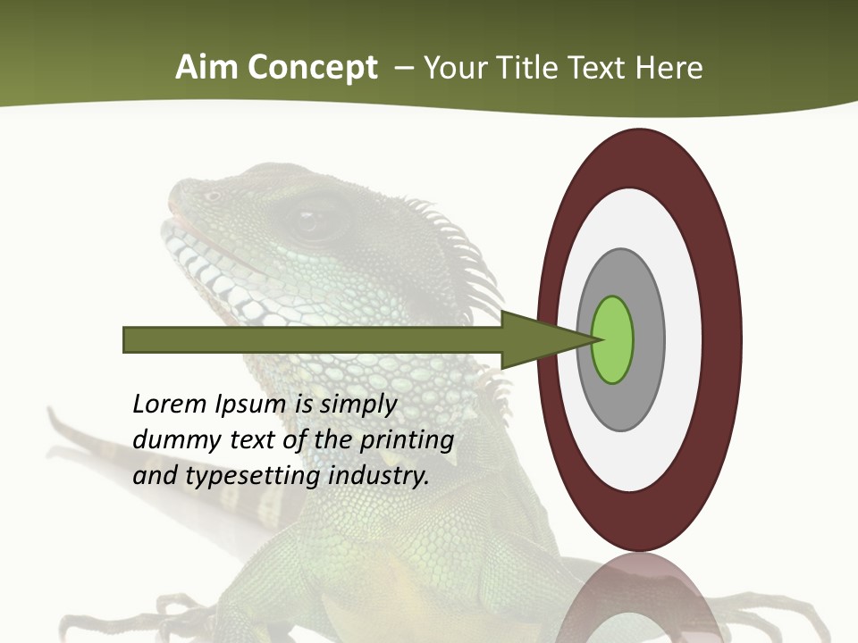 Bearded Dragon In Front Of A White Background PowerPoint Template