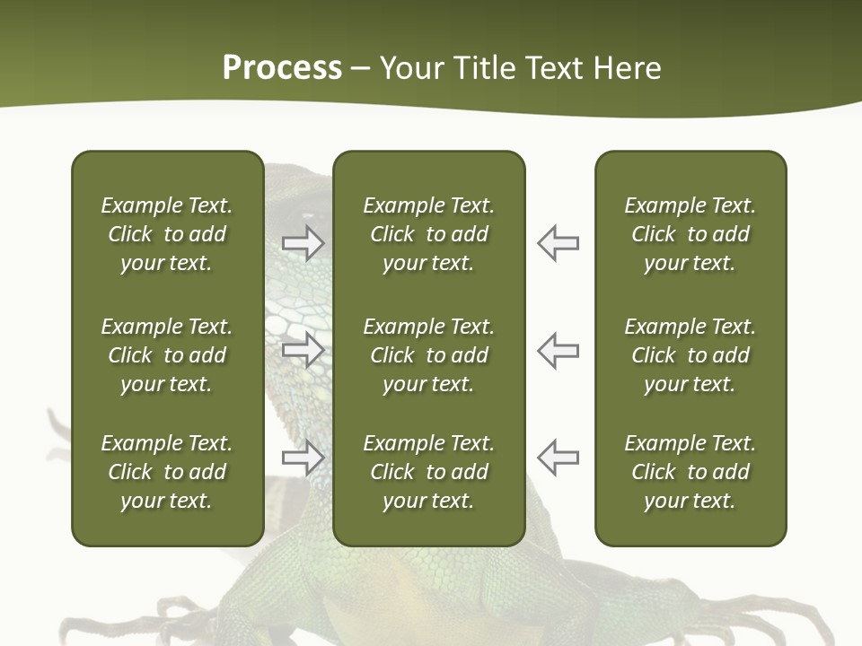 Bearded Dragon In Front Of A White Background PowerPoint Template