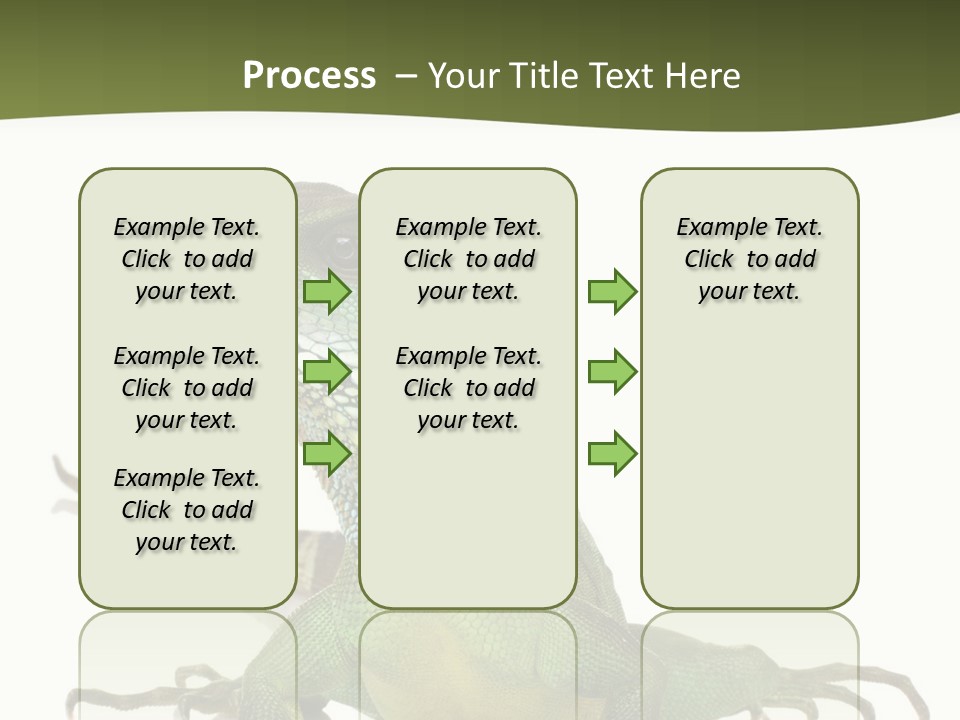 Bearded Dragon In Front Of A White Background PowerPoint Template
