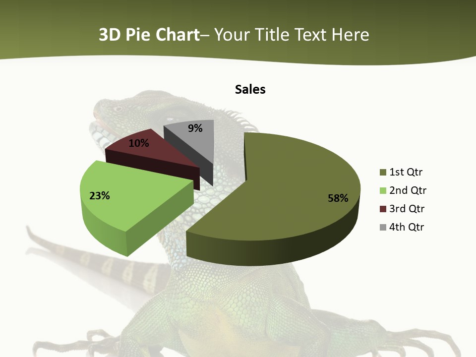 Bearded Dragon In Front Of A White Background PowerPoint Template