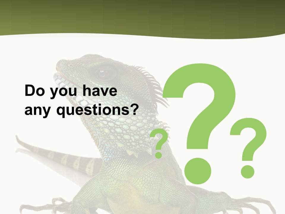 Bearded Dragon In Front Of A White Background PowerPoint Template