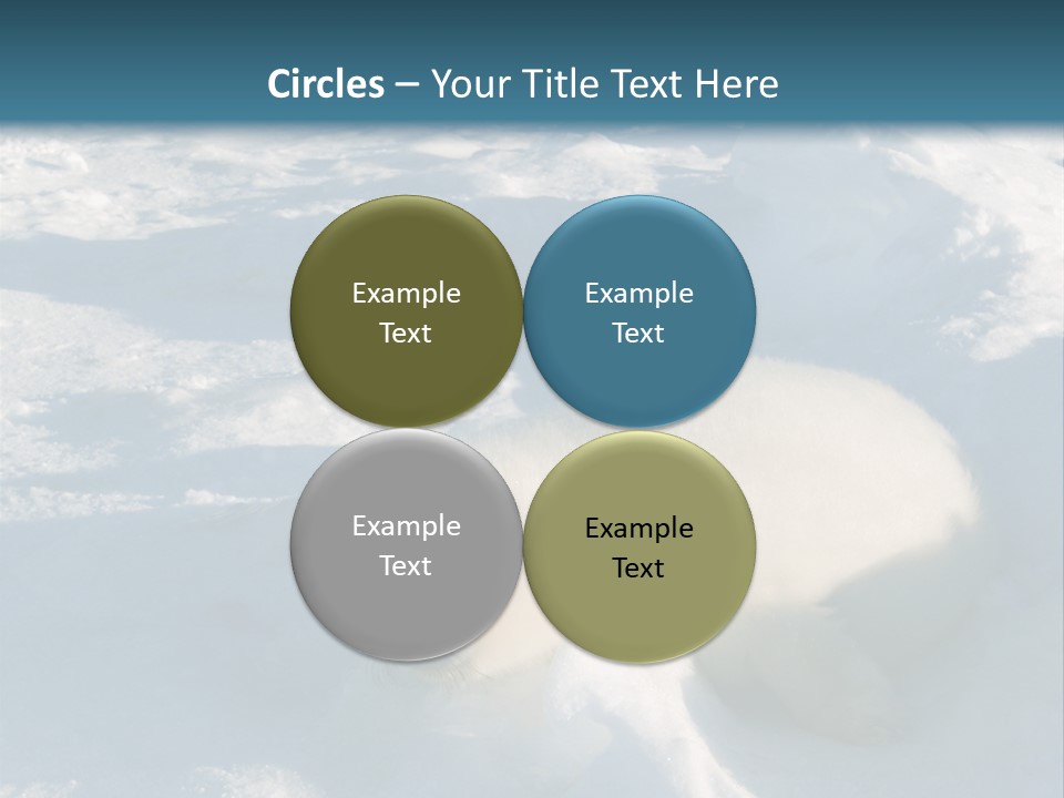 Baby Harp Seal Pup Enjoys Sun On Ice Floe In North Atlantic PowerPoint Template