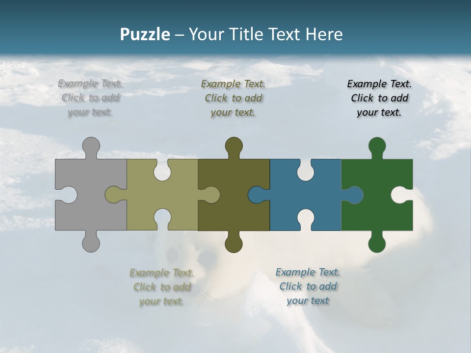 Baby Harp Seal Pup Enjoys Sun On Ice Floe In North Atlantic PowerPoint Template