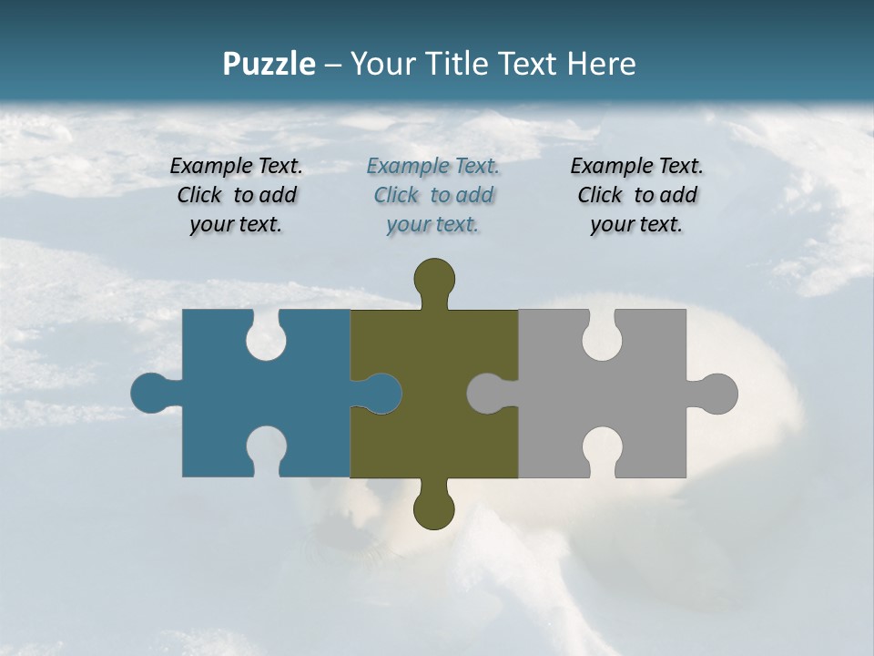 Baby Harp Seal Pup Enjoys Sun On Ice Floe In North Atlantic PowerPoint Template