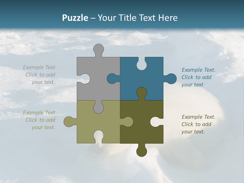 Baby Harp Seal Pup Enjoys Sun On Ice Floe In North Atlantic PowerPoint Template