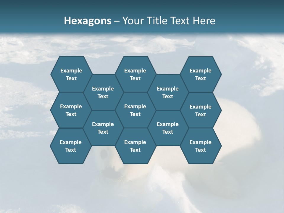 Baby Harp Seal Pup Enjoys Sun On Ice Floe In North Atlantic PowerPoint Template