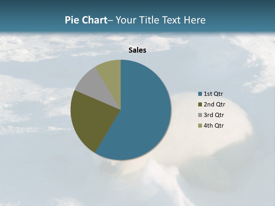 Baby Harp Seal Pup Enjoys Sun On Ice Floe In North Atlantic PowerPoint Template