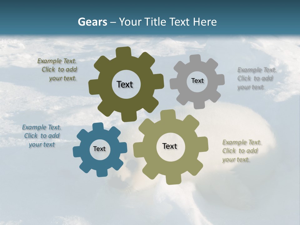 Baby Harp Seal Pup Enjoys Sun On Ice Floe In North Atlantic PowerPoint Template