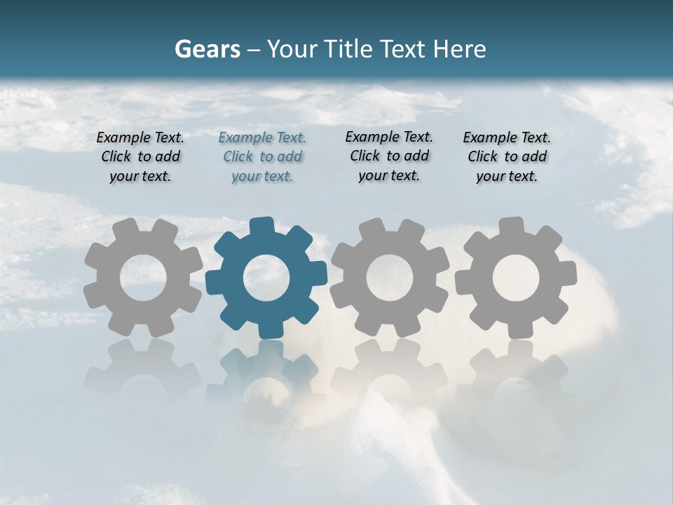 Baby Harp Seal Pup Enjoys Sun On Ice Floe In North Atlantic PowerPoint Template