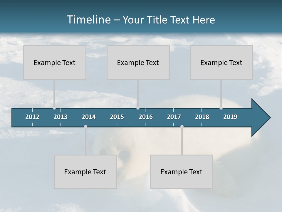 Baby Harp Seal Pup Enjoys Sun On Ice Floe In North Atlantic PowerPoint Template