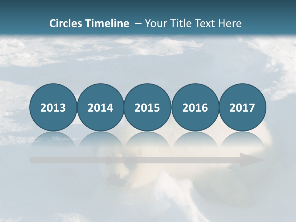 Baby Harp Seal Pup Enjoys Sun On Ice Floe In North Atlantic PowerPoint Template