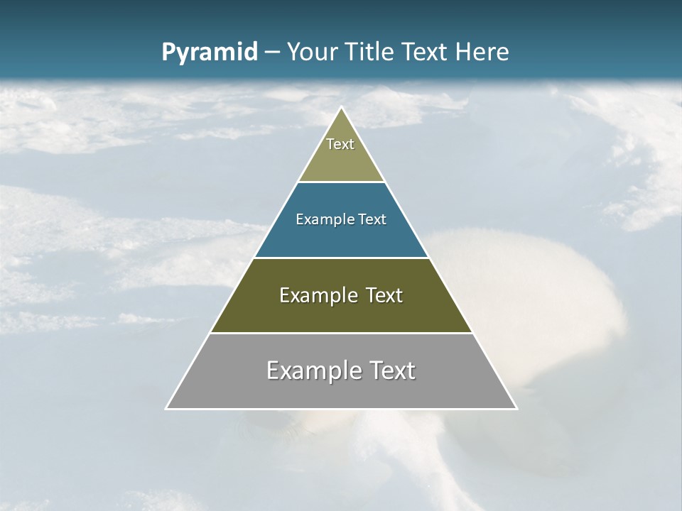 Baby Harp Seal Pup Enjoys Sun On Ice Floe In North Atlantic PowerPoint Template