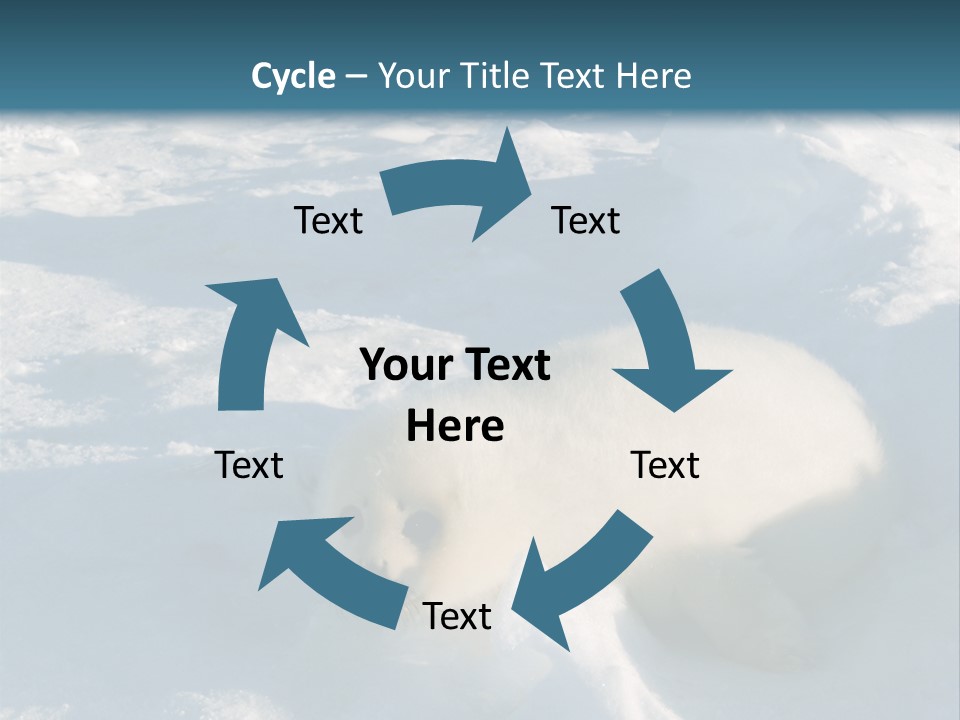 Baby Harp Seal Pup Enjoys Sun On Ice Floe In North Atlantic PowerPoint Template