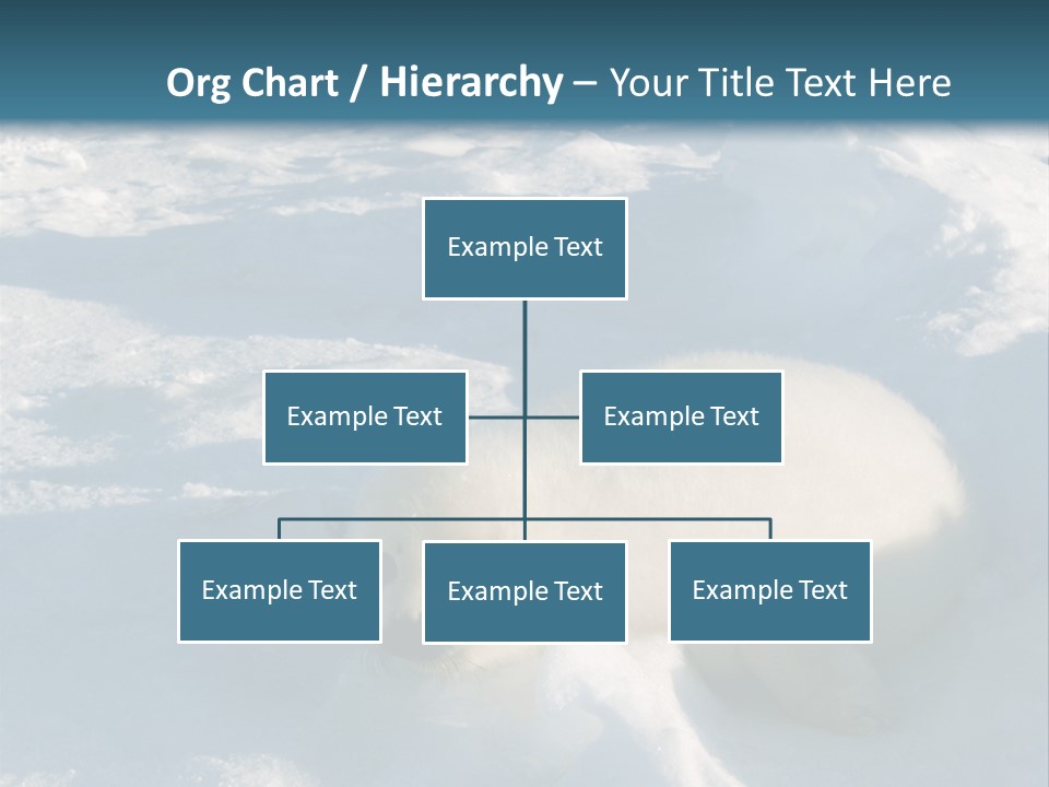 Baby Harp Seal Pup Enjoys Sun On Ice Floe In North Atlantic PowerPoint Template