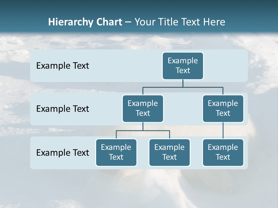 Baby Harp Seal Pup Enjoys Sun On Ice Floe In North Atlantic PowerPoint Template