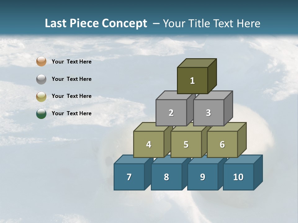 Baby Harp Seal Pup Enjoys Sun On Ice Floe In North Atlantic PowerPoint Template